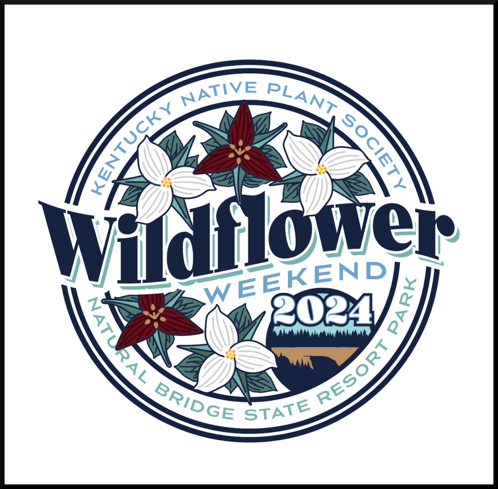 Wildflower Weekend 2024 Logo Design Contest, We Have A Winner!