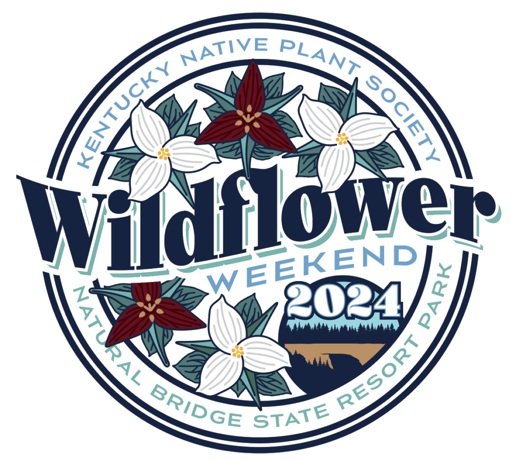 Join Us At Natural Bridge This Weekend for Wildflower Weekend 2024!