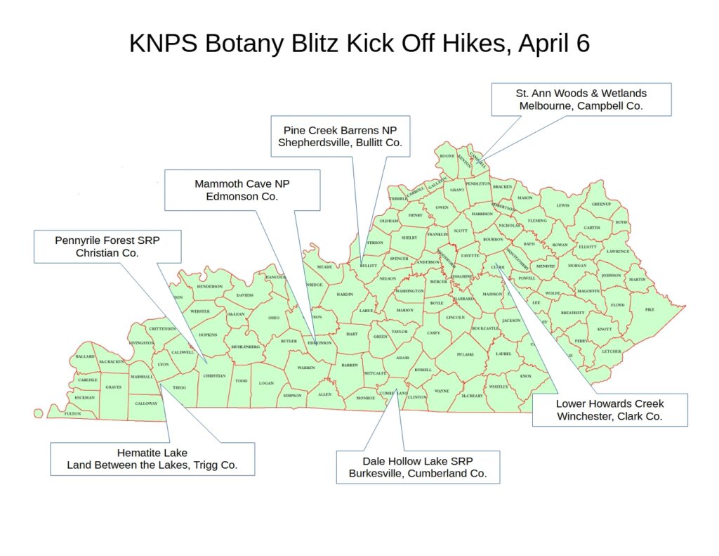 Begin Botany Blitz 2024 with a Kick Off Hike on April 6