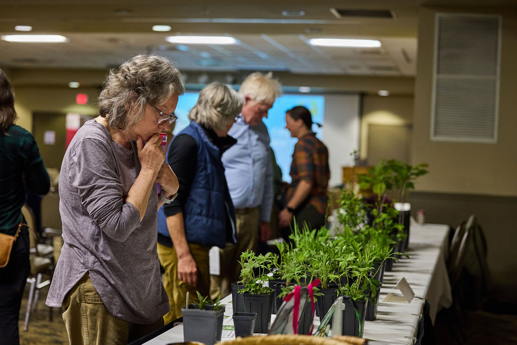 Wildflower Weekend 2026 Donations Page