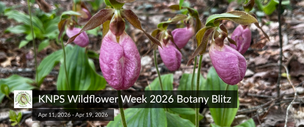 Botany Blitz 2026 & Kick Off Hikes – Call for Hike Leaders
